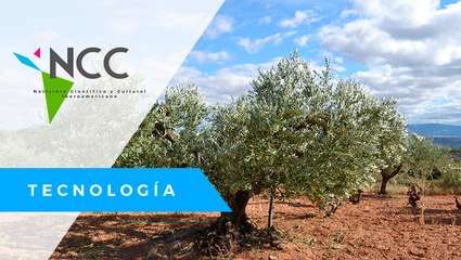 Más in­te­li­gen­te, pero tam­bién más éti­ca: así será la agri­cul­tu­ra del fu­tu­ro.