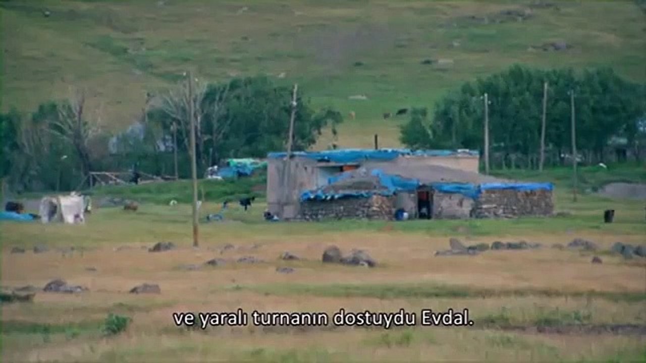Evdalê Zeynıkê - Belgefîlm