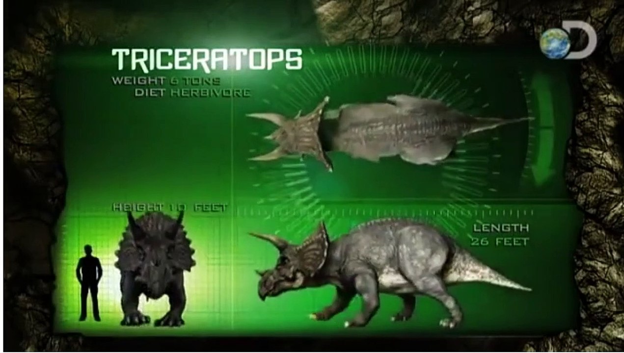 Triceratops