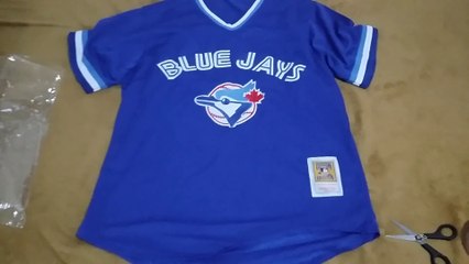 Blue Jays 1993
