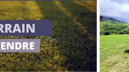 A VENDRE MAGNIFIQUE TERRAIN DE 940M2 (ARBORÉ ET VIABILISÉ) SUR MOOREA