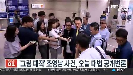 '그림 대작' 조영남 사건, 오늘 대법 공개변론