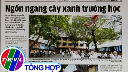 Ngổn ngang cây xanh trường học - Điểm báo (28/5/2020)