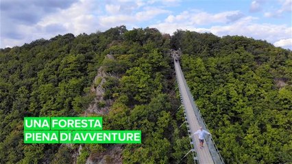 Una passeggiata tra le montagne di Hunsrück