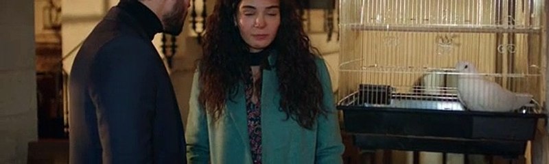 Hercai Capitulo 143 Completo Hercai Capitulo 143 Completo Hercai Capitulo 143 Completo Hercai Capitulo 143 Completo
