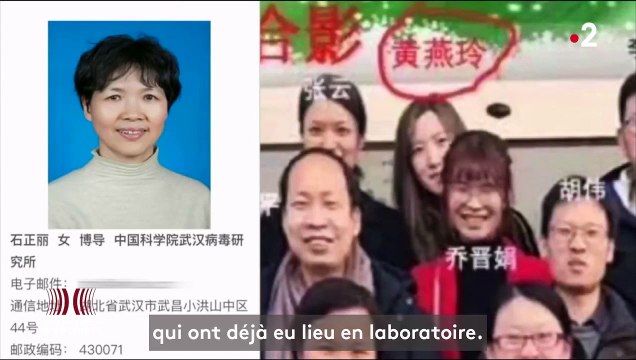 Origine de la pandémie : Complément d'enquête sur une théorie du complot
