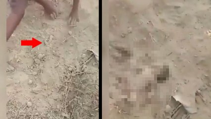 जन्म देते ही मिट्टी में दफन कर दिया नवजात, फरिश्ता बनकर आए शख्स ने बचाई जान