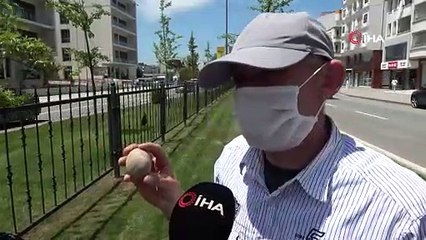 Dedesinin 'çok kıymetli' diye hediye ettiği taşı bankada saklıyor: "200 bin dolar teklif geldi"