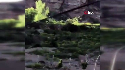 Ayılar bu mahalleyi mesken tuttu