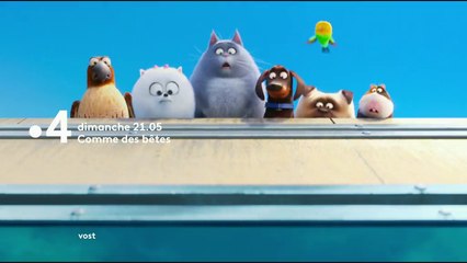 Comme des bêtes - Bande annonce
