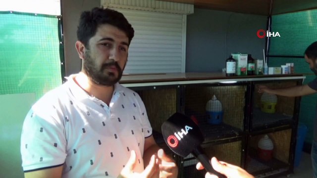 200 bin liralık kümes... Çifti 40 bin lira olan Pele ve Rihanna kümesin yıldızları