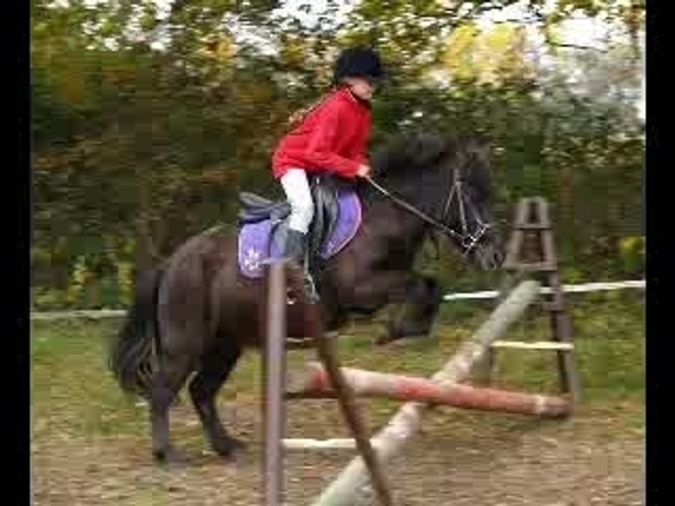 concour poney lea