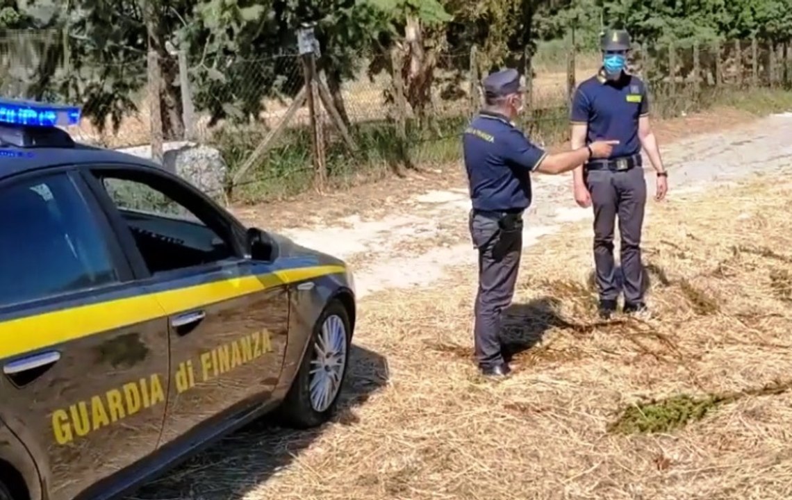 Enna - Contadini "finti poveri" col Reddito di Cittadinanza: 36 denunce (28.05.20)