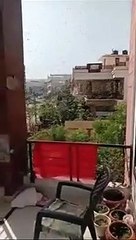 #Bugs#Locust In India 27.05.2020