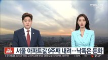 서울 아파트값 9주째 내려…낙폭은 둔화