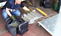 Gorizia - 16 chili di marijuana nascosti in un Tir: arrestato autista sloveno (28.05.20)