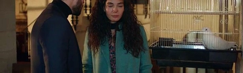Hercai Capitulo 143 Completo Hercai Capitulo 143 Completo Hercai Capitulo 143 Completo Hercai Capitulo 143 Completo