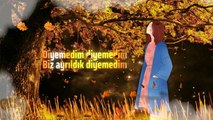 Sibel Bilgiç - Diyemedim