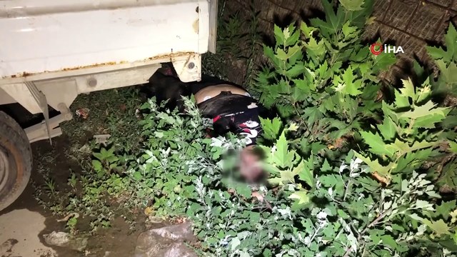 Para karşılığı ilişki için anlaştığı kadını öldüren sanık tahliyesini istedi