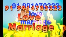 ~( NICE )##91=9914703222 lOvE vAsHiKaRaN sPeCialist bAbA ji, firozpur