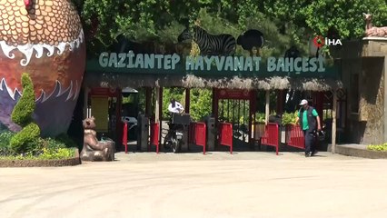 Gaziantep Hayvanat Bahçesi 15 Haziran’a hazırlanıyor