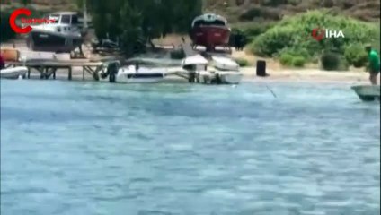 Yer: Bodrum... Görenleri şoke etti! Denizde vahşet