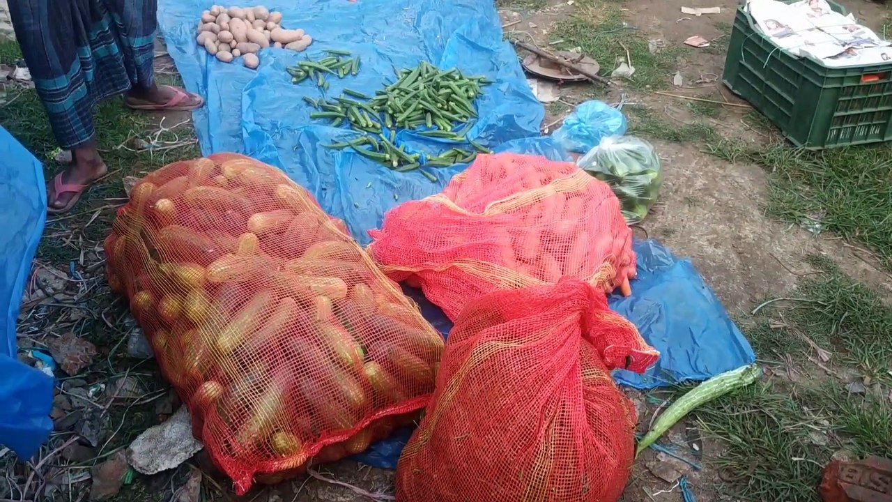 সফিপুর কাঁচাবাজার স্থানান্তরের পর কেমন ছিল প্রথম দিন, shafipur bazar,