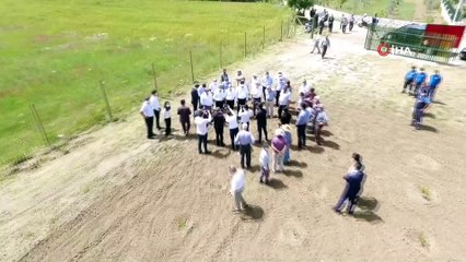 Üzüm bağları yeniden canlanıyor