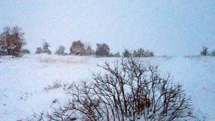 Night hiking in snow