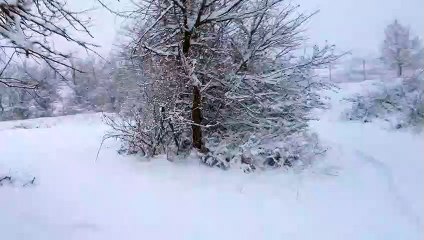 Night hiking in snow part 2