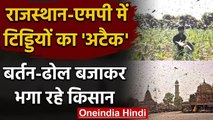 Locust Attack: Rajasthan और Madhya Pradesh में टिड्डियों से ऐसे निपट रहे किसान | वनइंडिया हिंदी