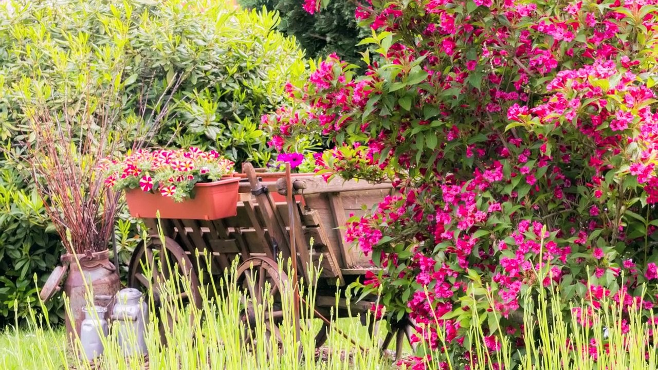 Offene Gartenpforte Hessen 2019  --- Open Gardens, Hesse, Germany, 2019