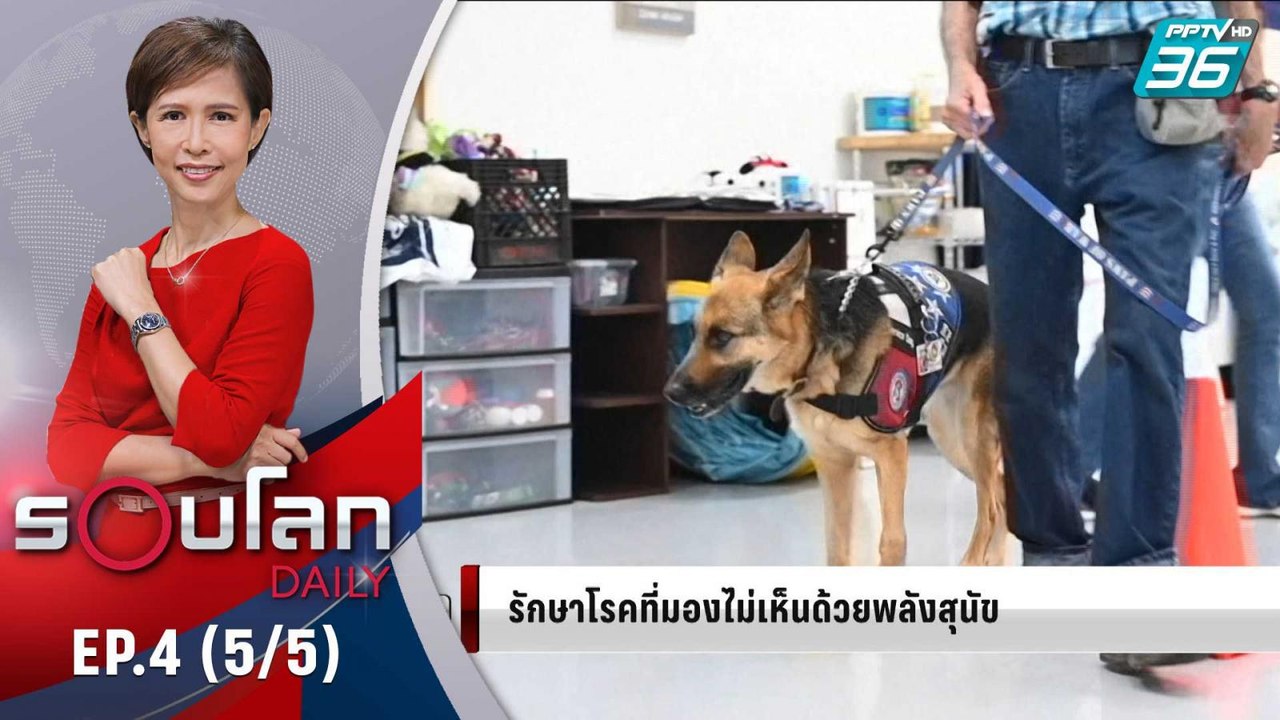 Therapy Dogs  สุนัขบำบัด | 28 พ.ค. 63 | รอบโลก DAILY (5/5)
