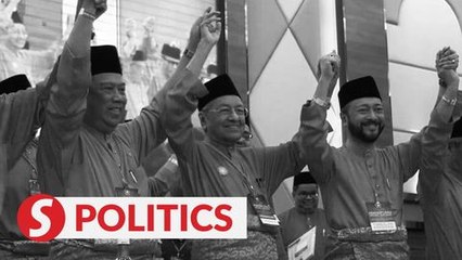 Descargar video: Dr M, Mukhriz, Syed Saddiq and two others axed from Bersatu