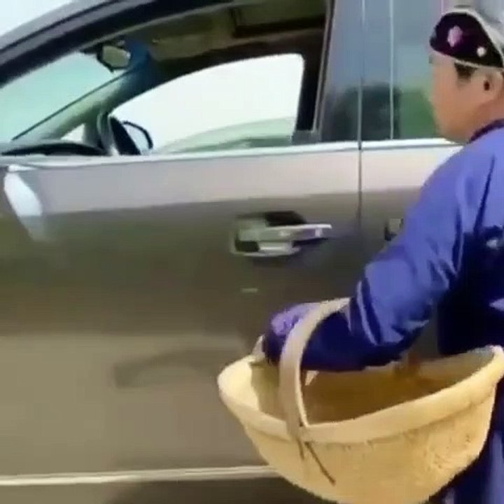 Funny Videos
