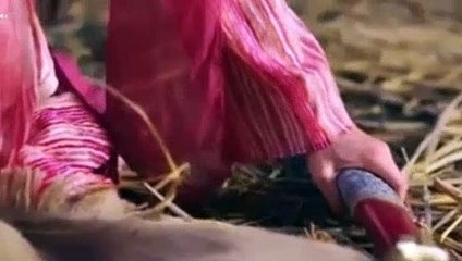 Princesa Valiente Capitulo 46