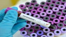 Coronavirus US live_ cases still increasing in two dozen states amid push to reopen