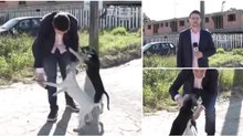 Repórter é obrigado a interromper reportagem para brincar com dois cães de rua