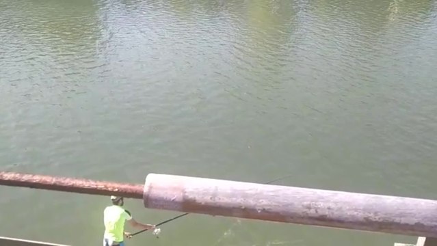 Pesca en la ría de Bilbao en fase 2