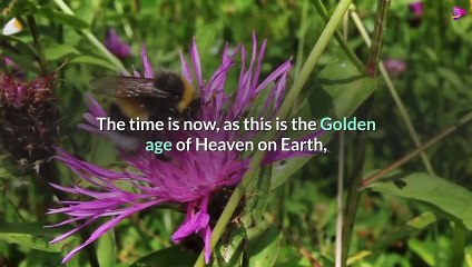 How To Find Your True Love