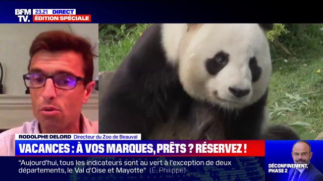 Pour le directeur du Zoo de Beauval, nous voyons enfin le bout du tunnel