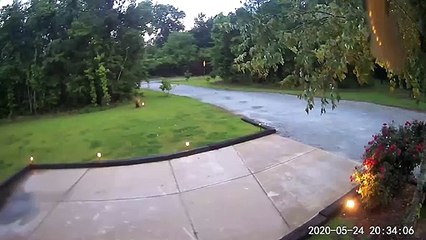 Snake Slithers On Security Camera