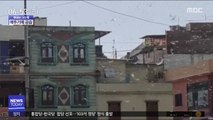 [이슈톡] 인도 북부 '27년 만에 최악' 메뚜기떼 강타