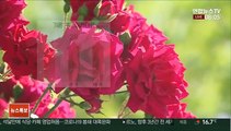 [날씨] 낮더위, 서울 27도·대구 29도…강한 자외선