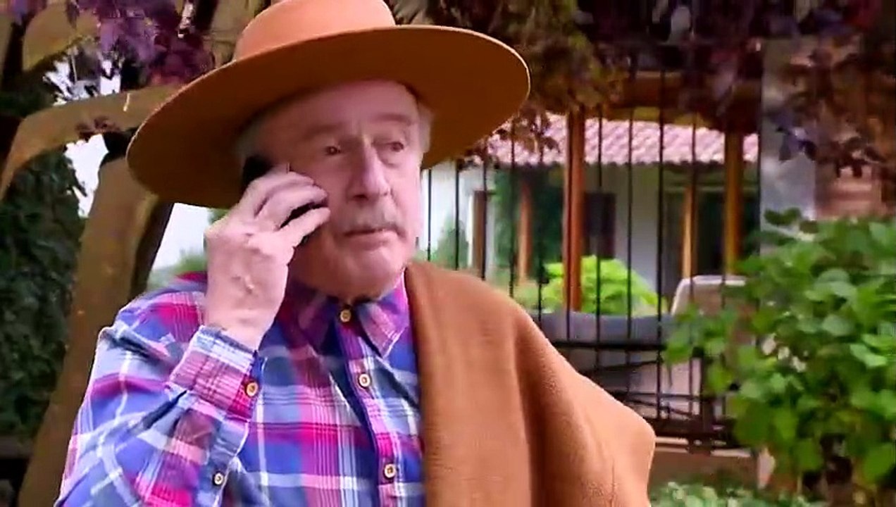 Pobre gallo Capitulo 1