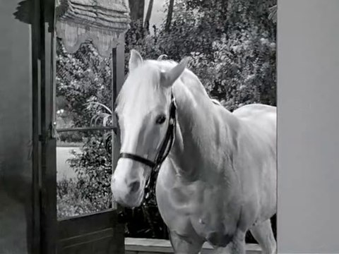 Mr. Ed - 125. Hurra hurra Die Post ist da