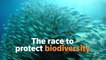 The race to protect Earth's biodiversity