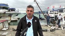 Karadeniz salyangozu mercek altında