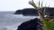 100 Things- Volcano Vacation - Teaser