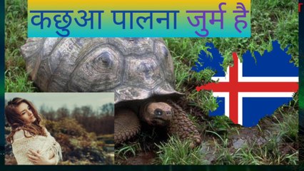आइसलैंड के रोचक तथ्य//Iceland fact in Hindi